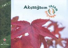 Akçaağacın Yaşam Döngüsü