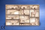 Montessori Ahşap Zeka Oyunları / w-Animal Kingdom