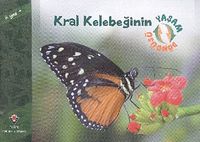 Kral Kelebeğinin Yaşam Döngüsü