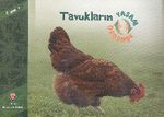 Tavukların Yaşam Döngüsü
