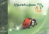 Uğurböceğinin Yaşam Döngüsü