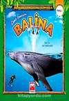 Canlı Denizaltı Balina (Ting) / Hayvanların Gizemli Dünyası -4
