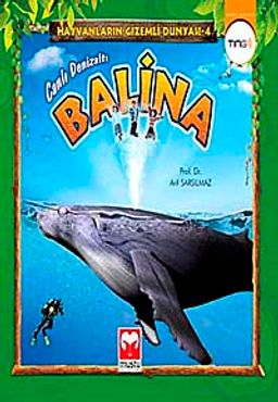 Canlı Denizaltı Balina (Ting) / Hayvanların Gizemli Dünyası -4