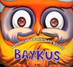 Hayvanlar Aleminin En Bilgesi Baykuş