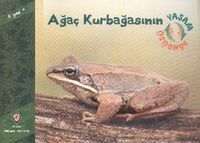 Ağaç Kurbağasının Yaşam Döngüsü