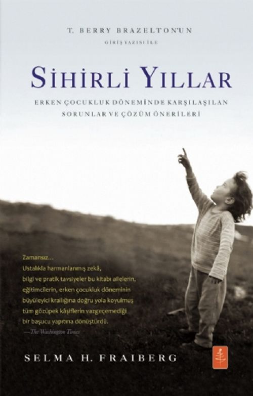 Sihirli Yıllar & Erken Çocukluk Döneminde Karşılaşılan Sorunlar ve Çözüm Önerileri